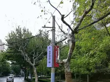 南京西路小别墅,拥有花园和地下室,电梯