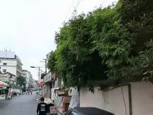 原水小区 2室1厅 南