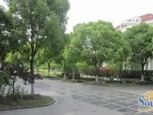 约400万装修,西郊联排别墅,隔壁檀香别墅,有花园