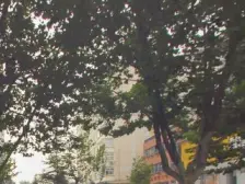 金元公寓 稳定八中 纬五路一小 双气朝南 有钥匙