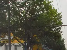 省建行家属院,得房率95%,东南户型,采光好,中间层