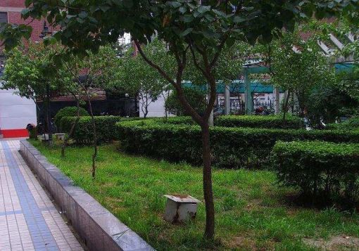 商都幸福家园3室2厅2卫南北朝向3300.00元/月出租
