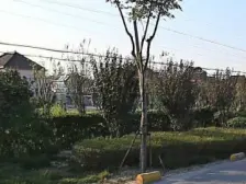 华新镇·上海大亨花园别墅·5室·2厅