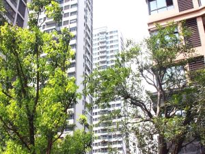 龙信隔壁江城逸品精致装修3房满5年房子保养好