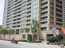 绿城玫瑰园 4室2厅 南 北