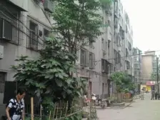 双地铁94年的精致两房诚心出售