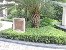 高区,高区,高区景观房,视野很好