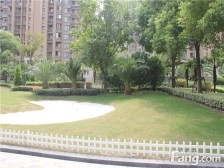 高品质小区纯人车分流,两梯三户户型方正南北通