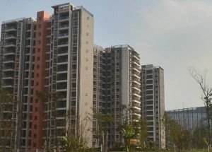 空港首座2室1厅南