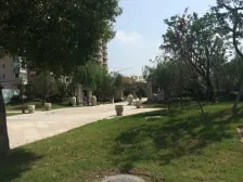 碧桂园二期双拼别墅258.03平精装726万