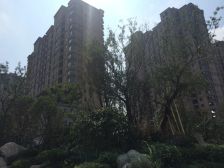 如东碧桂园3室2厅南北