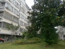 东大公寓 精装两房 总价低