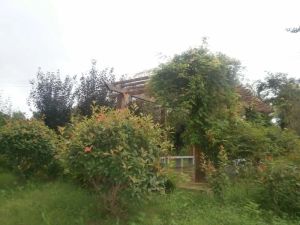 东大中楼层三室两厅,H户型全明格局,居住舒适度高
