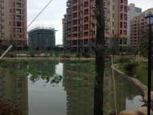 南北通风,户型方正,无大税,全天采光,洋房