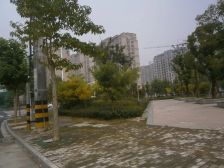 房东诚心出售,诚心出售,低价出售