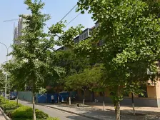 新源小区 2室1厅 东 西