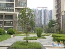 精装修 大阳台大飘窗 入户花园大