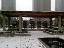 新里卢浮公馆二期 1室1厅 西