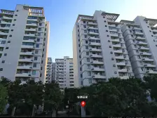 松江主城区,150平高层大三房