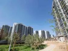 楼层好,视野宽阔,采光充足,交通便利