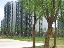 翠湖郡137平好房推荐.业主急售