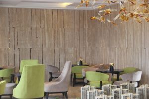 京联观湖+小高层+1楼带花园+精装修拎包入住