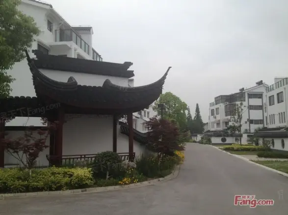 澄湖水岸