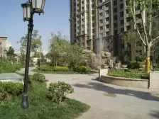 满眼都是下去景观 低楼层但是采光好