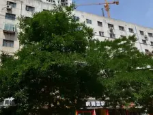 配套齐全,交通方便!采光充足无遮挡!