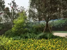 财信北岸江山东区 2室1厅 东南