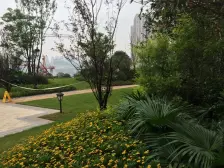 近轻轨 次新小区 精装 两房 配套成熟