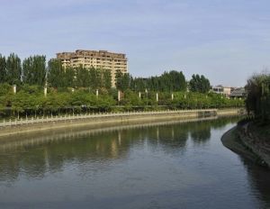 中环雅居 5室4厅 西南