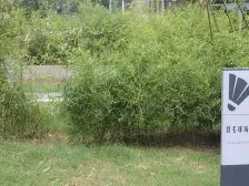 东区旁 双气大三房 楼层好视野开阔 业主诚心出售