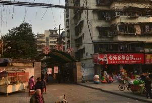 攀钢苑1室1厅东北