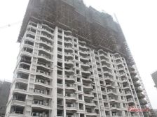 房子是飞机户型,房间和客厅都是朝阳的,楼层是中层