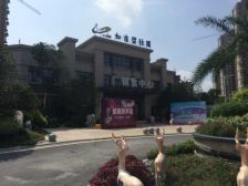 碧桂园二期5室2厅南