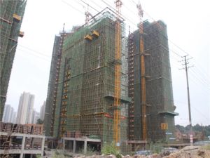 通透毛坯房中低楼层采光好总价低