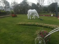 鸳鸯地铁站400米看房方便价格可谈