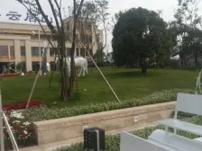 鸳鸯 大雅云居山二房90万