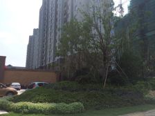 房子没有出租过,电梯房,无需爬楼