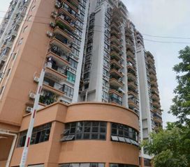 实用中高层东向大三房采光充足视野开阔