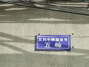 双林中横路8号2室1厅西南