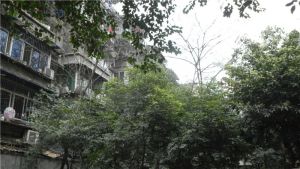 百寿路7号3室1厅东南