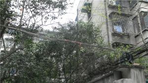 百寿路7号3室2厅南北