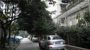 凯乐碧园 3室2厅 南