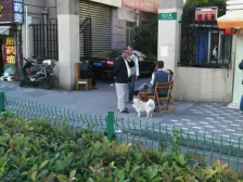 芷江中路413弄 1室1厅 西