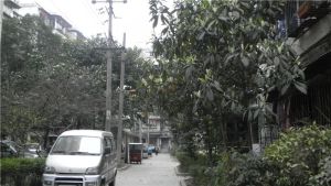 攀钢苑2室1厅南北