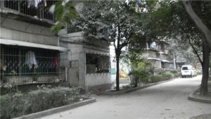 攀钢苑1室1厅东南