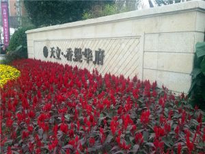 天立香缇华府3室2厅西南