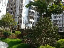 龙溪镇 欣光松宿一房